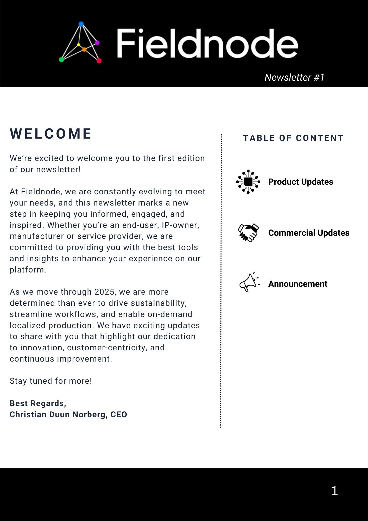 Newsletter #1 screenshot 1