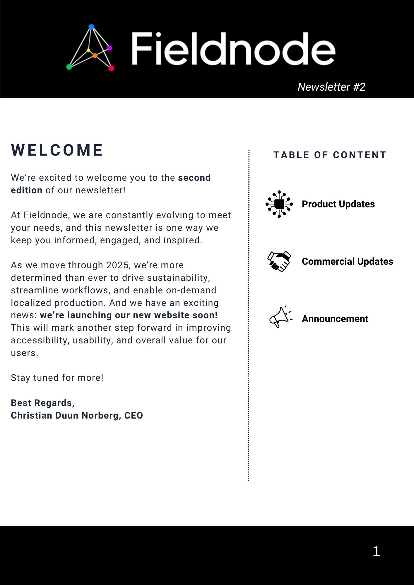 Newsletter #2 screenshot 1