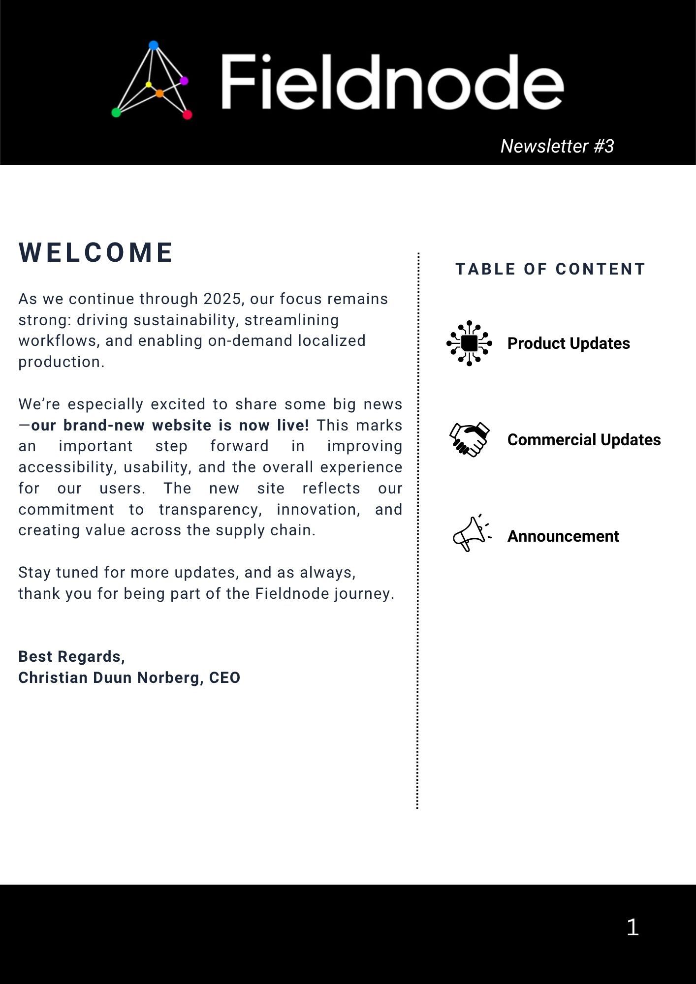 Newsletter #3 screenshot 1